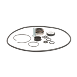 BANJO 12999AV PUMP SEAL KIT 2^ VITON 200PHY